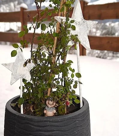 Sonnplatzl Appartement Kirchberg * Kirchberg in Tirol