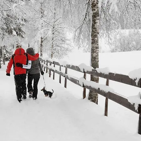 Sonnplatzl Appartement Kirchberg *