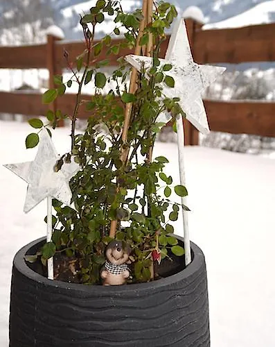 Sonnplatzl Kirchberg * Kirchberg in Tirol