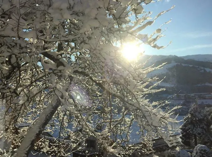 Lejlighed Sonnplatzl Kirchberg Kirchberg in Tirol