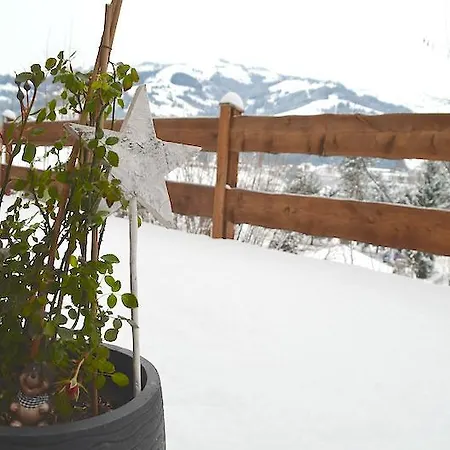 公寓 Sonnplatzl Kirchberg *
